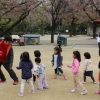 Easter Festival
