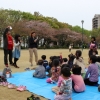Easter Festival